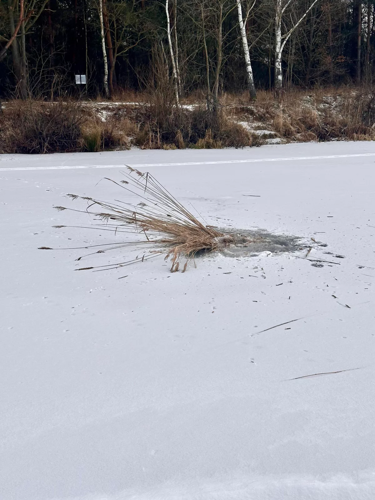 Prace na Łowisku Gryżyce